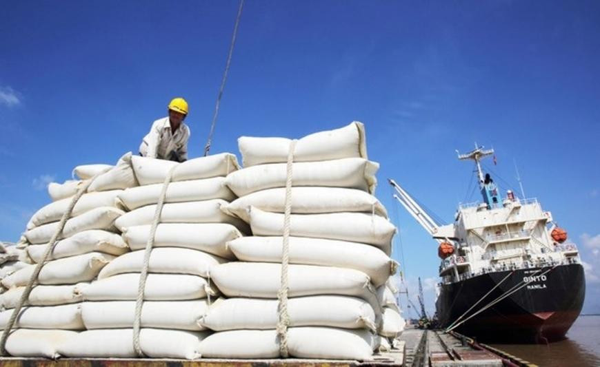 Hoạt động thu mua lúa gạo tại kho Hoạt động thu mua lúa gạo tại kho