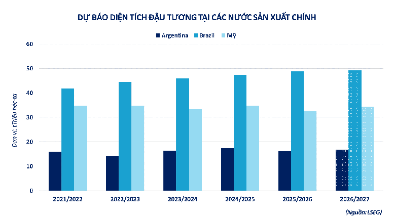 Dự báo diện tích đậu tương tại các quốc gia sản xuất chính
