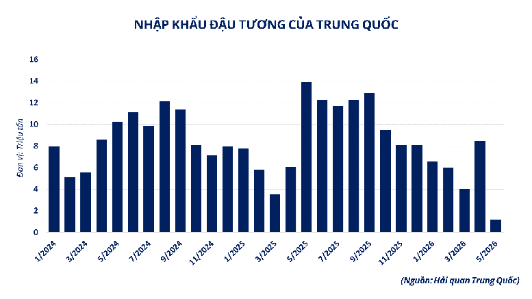 Biểu đồ nhập khẩu đậu tương của Trung Quốc giai đoạn gần đây