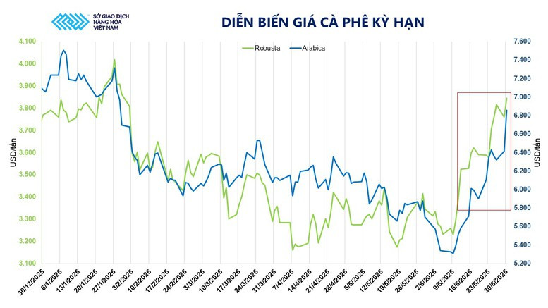 Biểu đồ diễn biến giá cà phê kỳ hạn thế giới