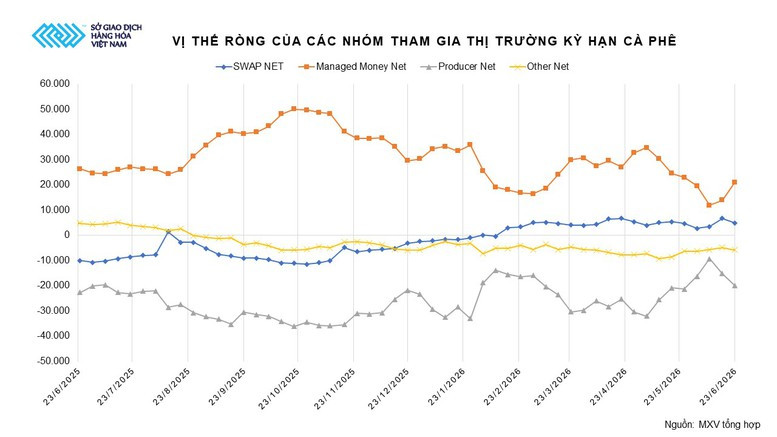 Biểu đồ vị thế ròng của các nhóm tham gia thị trường cà phê