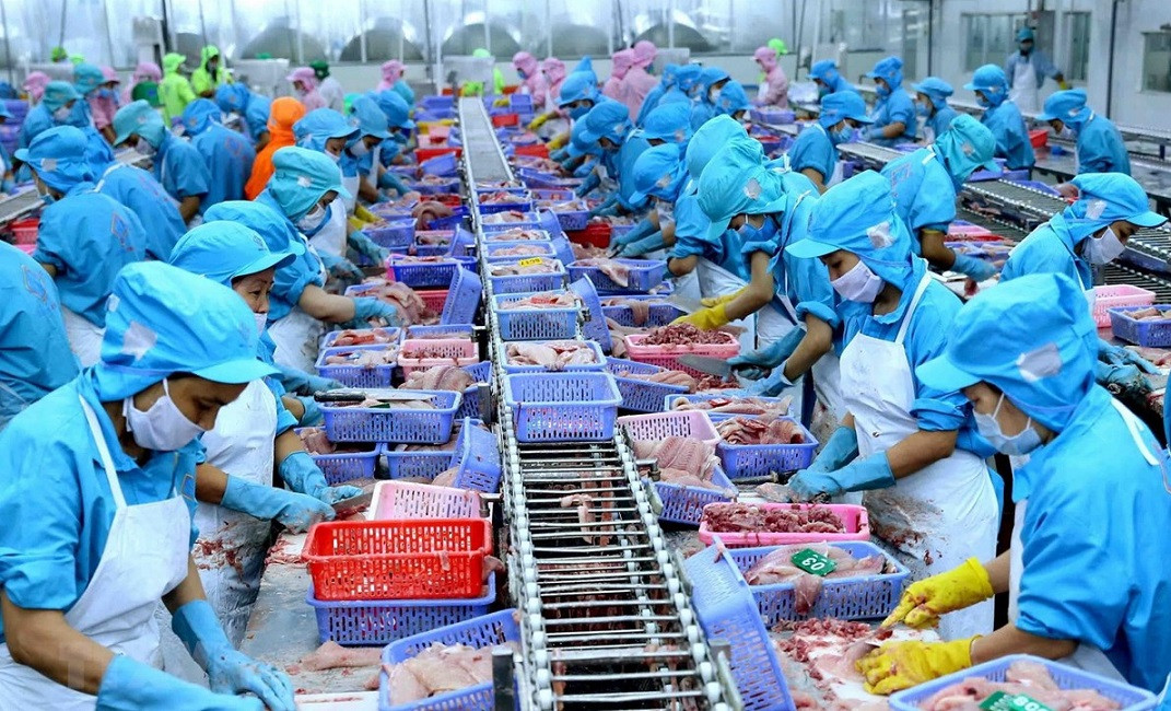 Xuất khẩu nông, lâm, thủy sản đạt gần 36 tỷ USD sau 6 tháng. Ảnh: Chính phủ