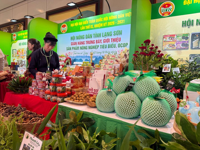 Từ chỗ phụ thuộc vào nguồn giống ngoại, đến nay Việt Nam đã chủ động nhiều loại giống chủ lực
