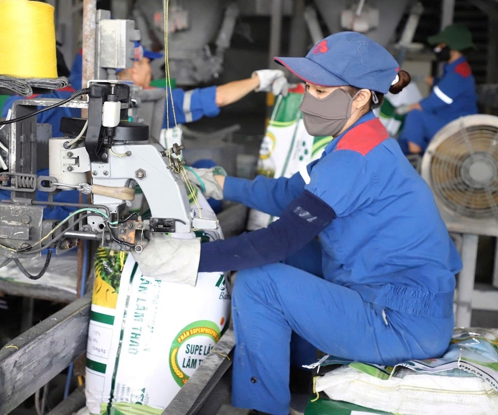 Campuchia tiếp tục là thị trường tiêu thụ phân bón lớn nhất của Việt Nam với hơn 330.000 tấn