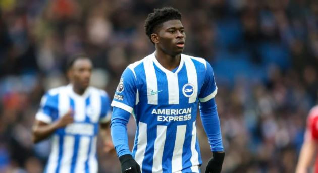 Carlos Baleba trong màu áo Brighton có thể là mảnh ghép hoàn hảo cho tuyến giữa Man Utd