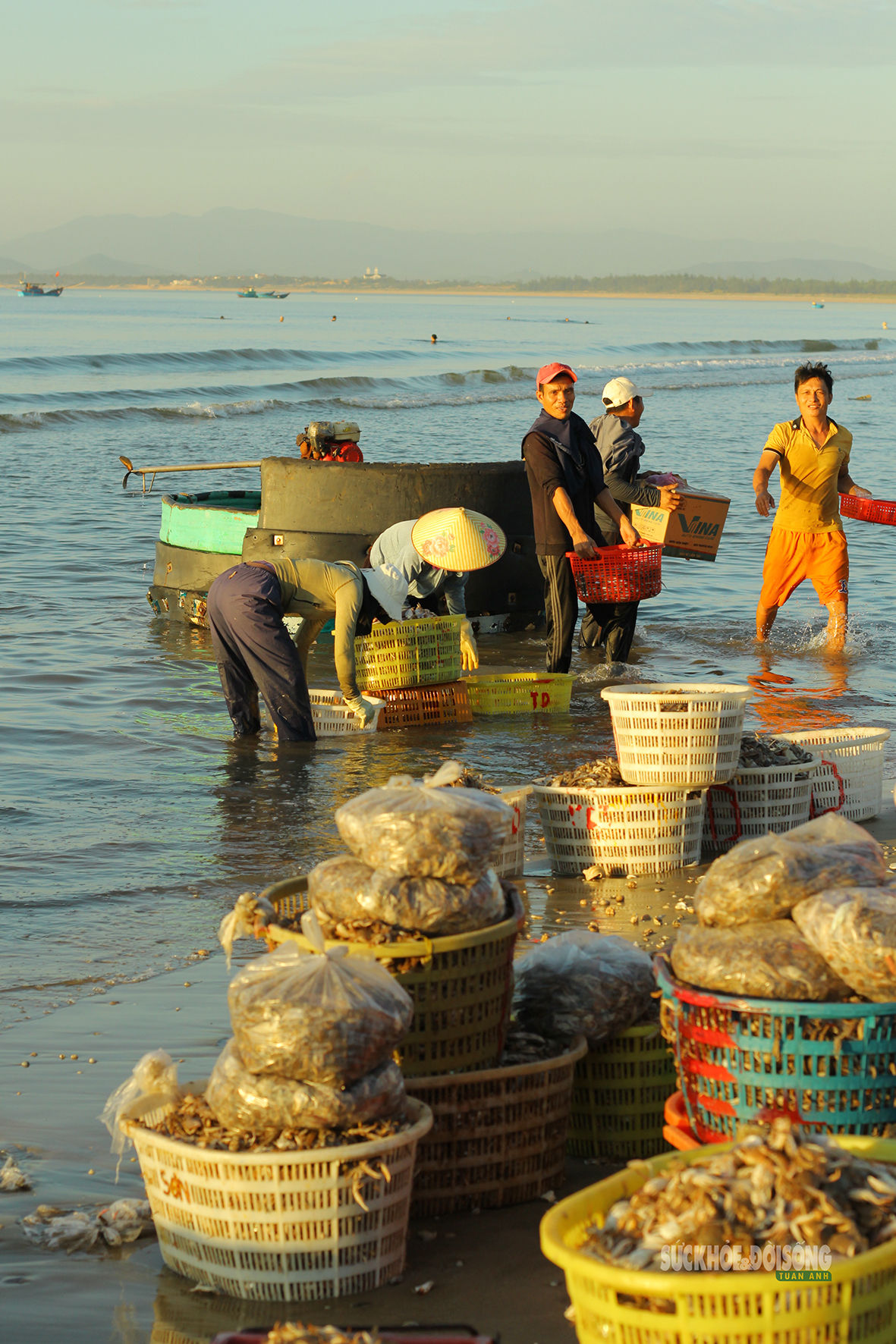 Nhịp mưu sinh trên bãi cá Cảnh Dương- Ảnh 4.