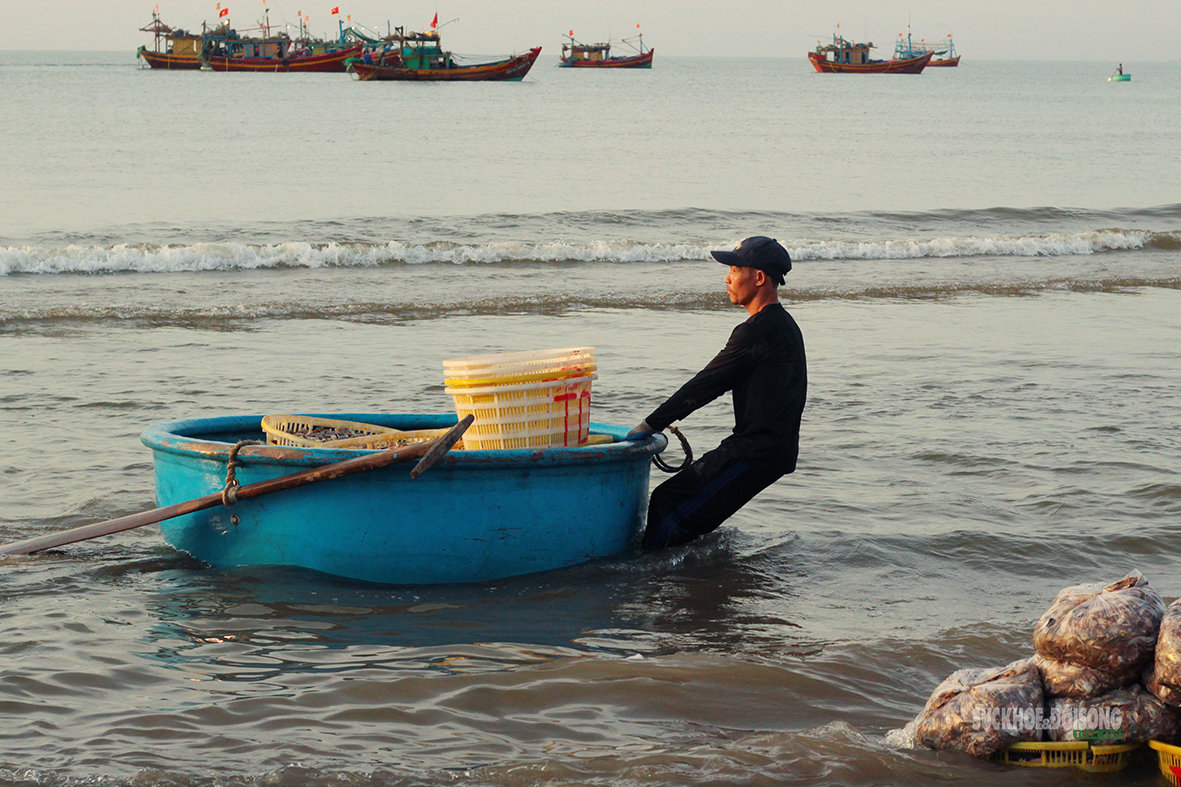 Nhịp mưu sinh trên bãi cá Cảnh Dương- Ảnh 2.