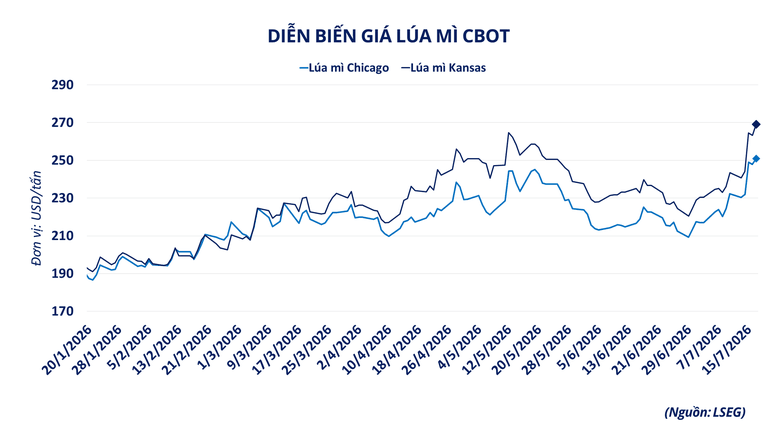 Diễn biến giá lúa mì trên sàn giao dịch thế giới
