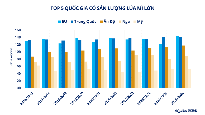 Top các quốc gia có sản lượng lúa mì lớn trên thế giới