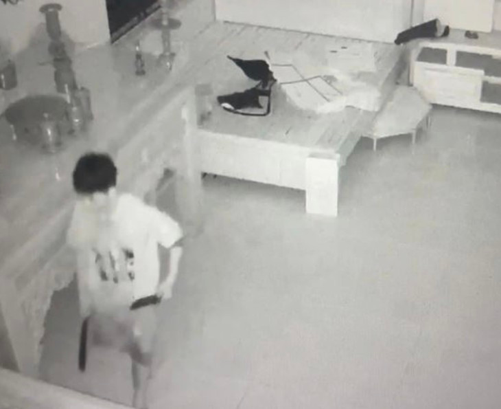 Lẻn vào nhà qua ô thông gió, dùng dao cướp tài sản của người mẹ trẻ đang ngủ- Ảnh 1.