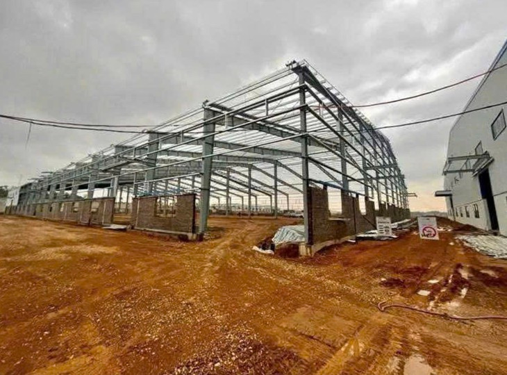 Khởi tố giám đốc sau vụ công nhân rơi từ mái nhà xưởng cao hơn 12m tử vong- Ảnh 1.