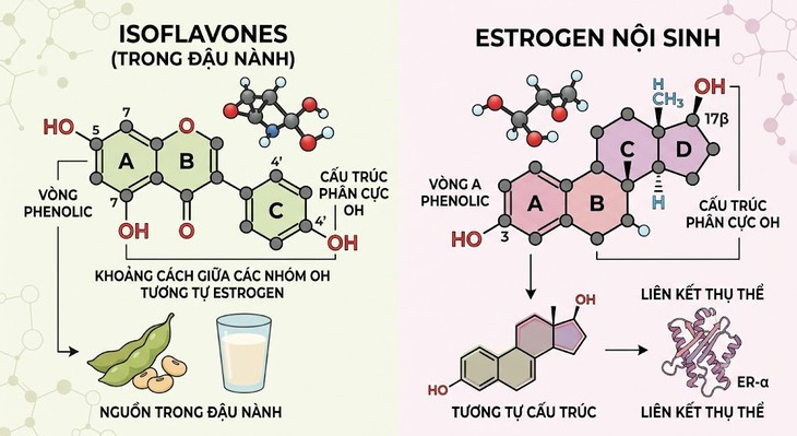 Nam giới uống sữa đậu nành có bị ảnh hưởng chất lượng tinh trùng? - Ảnh 1.