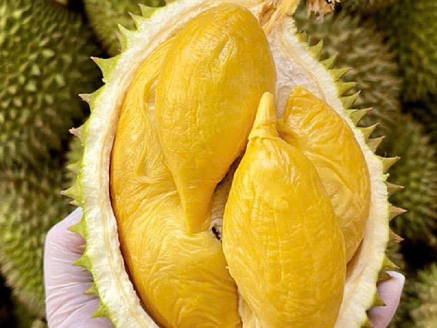 Giá sầu riêng hôm nay 28/7: Thị trường tăng