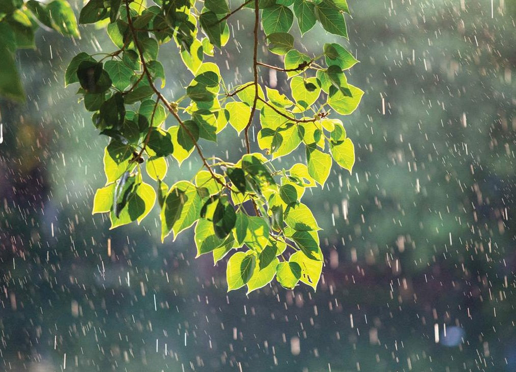 Bản tin dự báo, cảnh báo xu thế thời tiết trên đất liền thời hạn đến 10 ngày