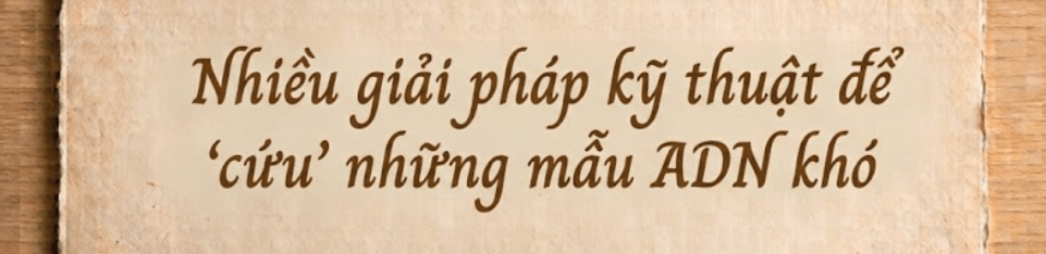 Ứng dụng nhiều công nghệ hiện đại, chạy đua với thời gian giám định ADN hài cốt liệt sĩ - Ảnh 4.
