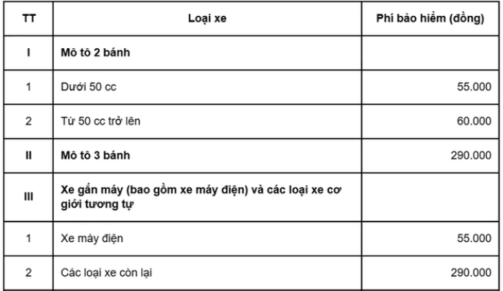 Trường hợp nào bắt buộc phải mua bảo hiểm xe máy? - Ảnh 3.
