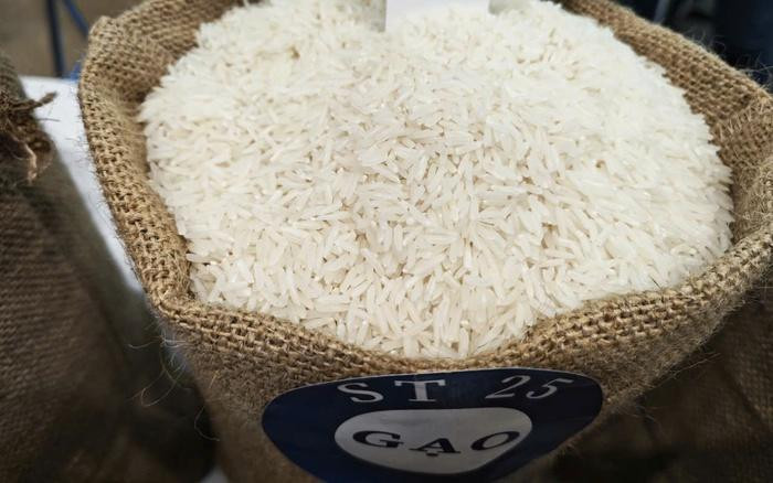 Giá lúa gạo hôm nay 3/8 tiếp tục đi ngang