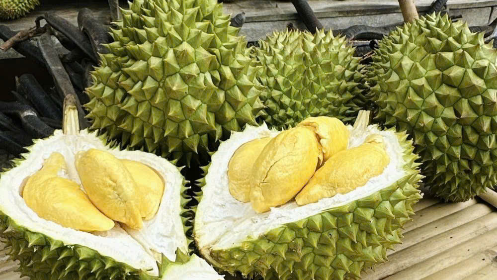 Giá sầu riêng hôm nay 6/8: Thị trường ổn định