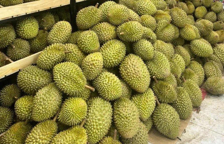 Giá sầu riêng hôm nay 7/8: Thị trường ổn định