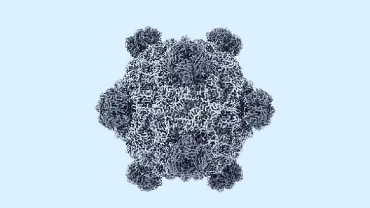 Mỹ tạo 16 loại virus chưa từng có ngoài tự nhiên bằng AI- Ảnh 1.