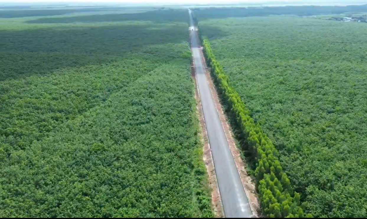 Giá cao su trong nước duy trì ổn định tại các đơn vị thu mua