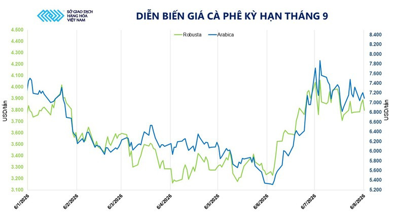 Biến động giá cà phê kỳ hạn