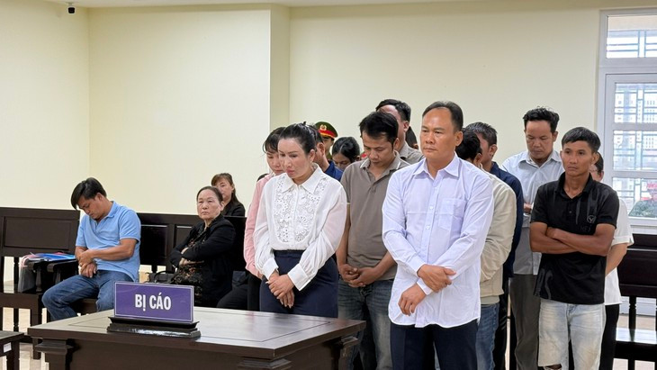 Hai tổng giám đốc lĩnh án vì sản xuất, buôn bán phân bón giả - Ảnh 1.