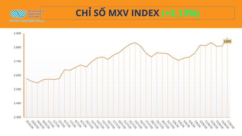 Chỉ số MXV-Index tăng mạnh trong phiên giao dịch ngày 17/8