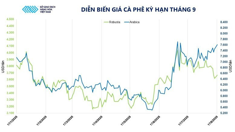 Diễn biến giá cà phê kỳ hạn tháng 9