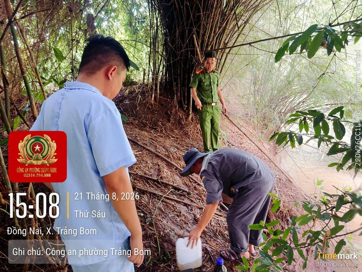 Phát hiện trang trại nuôi lợn xả nước thải ra suối- Ảnh 1.