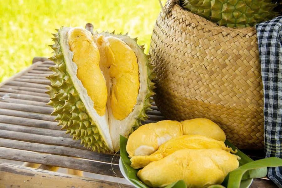 Giá sầu riêng ngày 25/8 tại các khu vực trồng