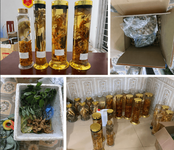 Nữ tiktoker vừa bị khởi tố lừa dối khách hàng bán Sâm Lai Châu gắn mác Sâm Ngọc Linh là ai?- Ảnh 2.