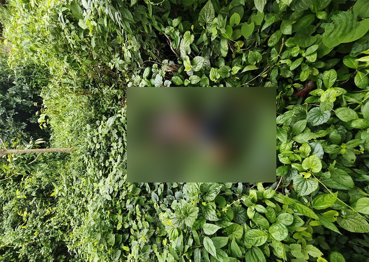 Bí ẩn thi thể người bán vé số phân huỷ ở bụi cỏ ven đường biên giới- Ảnh 1.