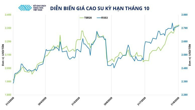 Biểu đồ diễn biến giá cao su kỳ hạn