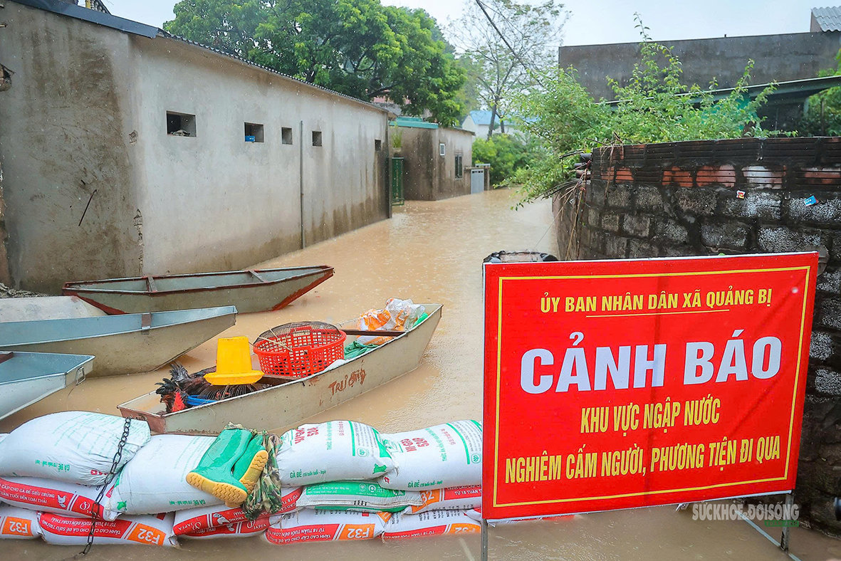 Làng quê ngoại thành Hà Nội ngập sâu, người dân bì bõm chuyển tài sản - Ảnh 5.