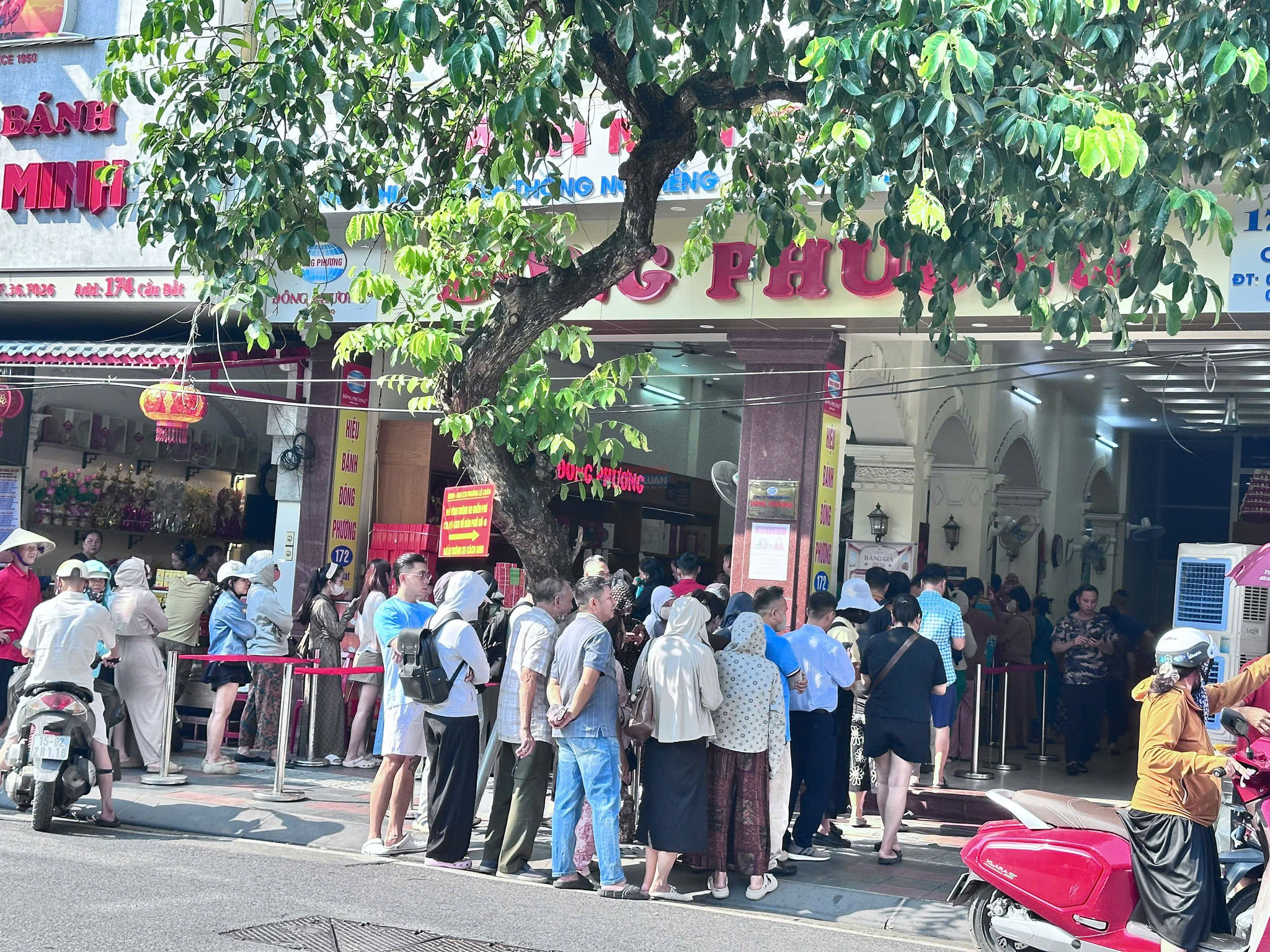 Hàng người xếp hàng mua bánh Trung thu Đông Phương tại số 172 Cầu Đất