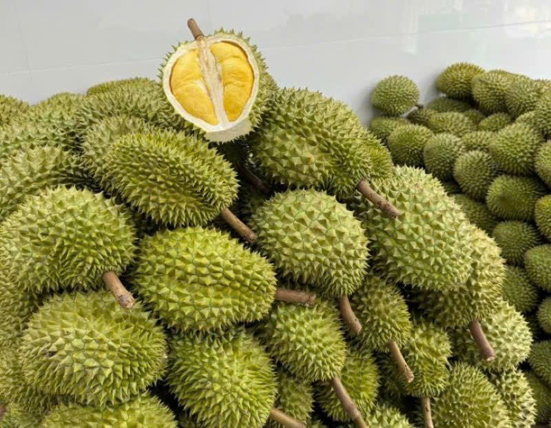 Giá sầu riêng hôm nay 1/10: Tăng ở Đồng bằng sông Cửu Long