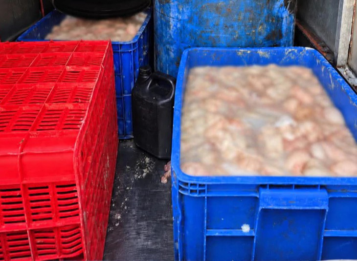 Ô tô chở 820kg lòng lợn bốc mùi hôi thối ở Phú Thọ- Ảnh 1.