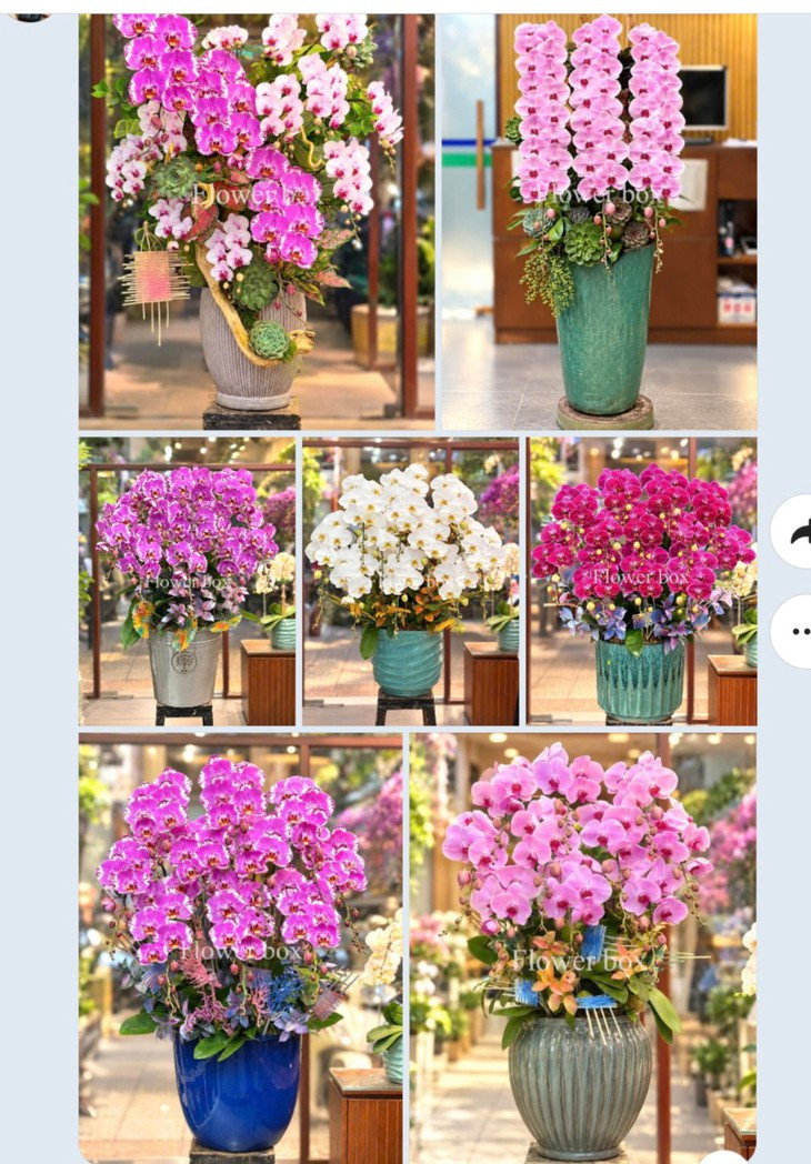 Quà 20/10 độc lạ: Hoa hồng in hình áo dài, lan hồ điệp 5 triệu đồng/chậu- Ảnh 2.