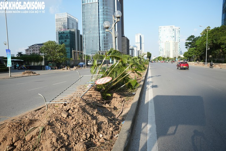 Chặt cây xanh, làm hầm chui qua Vành đai 3 - Ảnh 8.