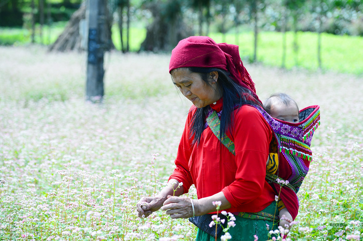 Vẻ đẹp bình dị của người phụ nữ Việt Nam: Từ phố thị đến vùng cao- Ảnh 7.