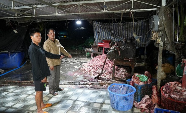 Chuyên án 926H triệt phá đường dây tiêu thụ 400 tấn thịt heo bệnh - Ảnh 1.