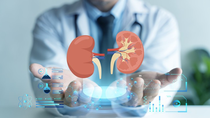 Mỹ 'bật đèn xanh' cho thuốc điều trị bệnh thận hiếm gặp- Ảnh 1.