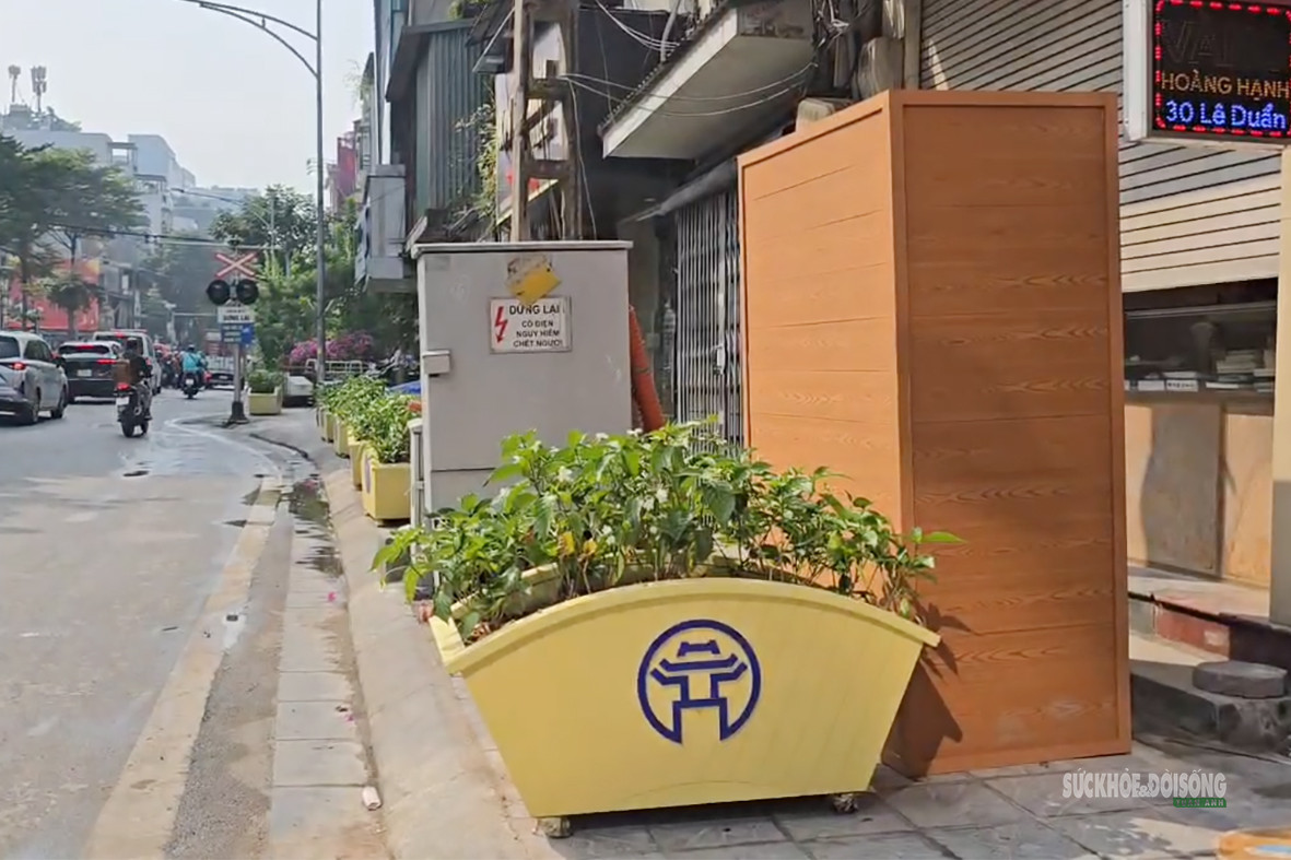 Hàng loạt bồn cây lớn 'án ngữ' vỉa hè phố Lê Duẩn- Ảnh 2.