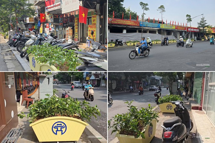Hàng loạt bồn cây lớn 'án ngữ' vỉa hè phố Lê Duẩn- Ảnh 1.
