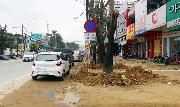 Truy tố ông chủ Công ty Cây xanh Công Minh hưởng lợi  hơn 264 tỉ đồng- Ảnh 1.
