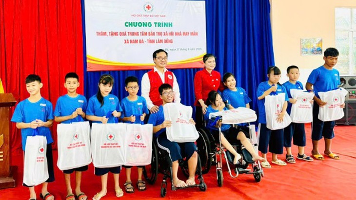 Ai được sử dụng biểu tượng Chữ thập đỏ và trong phạm vi nào?- Ảnh 1.