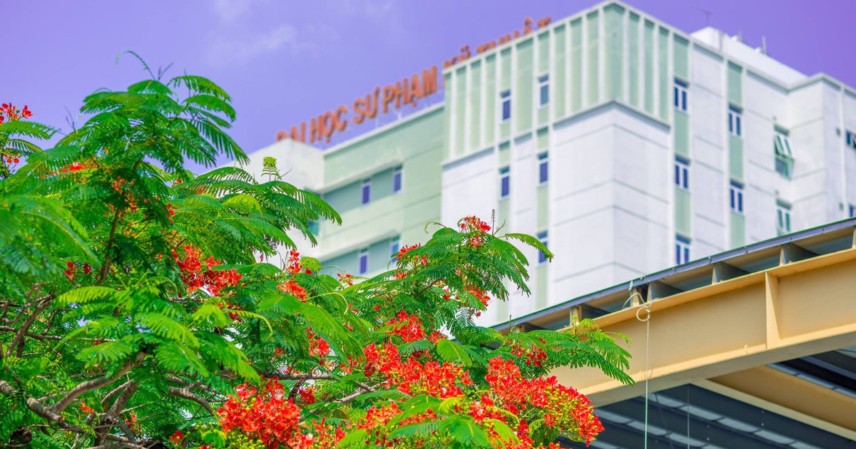 Điểm sàn tuyển sinh năm 2024 của Trường Đại học Sư phạm Kỹ thuật TPHCM