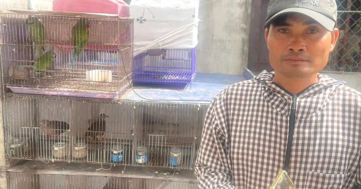 Khởi tố người mua bán, trao đổi 36 cá thể chim hoang dã