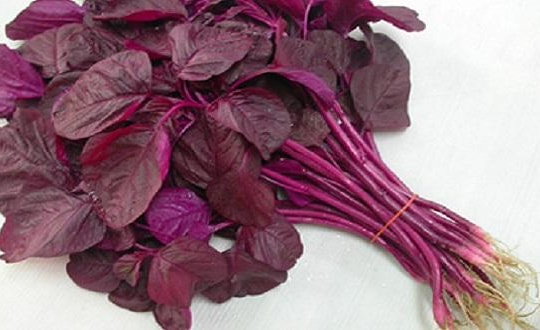 Công dụng tuyệt vời của rau dền đỏ